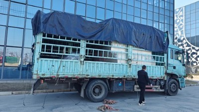 自動噴膠機再添新交付，助力大連汽車橡膠減震客戶升級